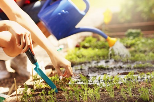 Transparent landscaping pricing for rubbish removal in Shortlands