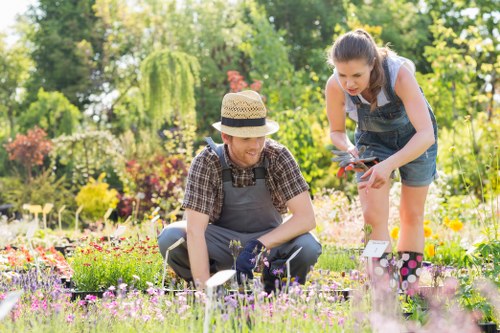 Professional insured rubbish company managing safe garden waste removal
