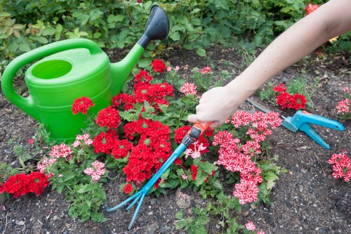 Garden maintenance in Shortlands with neatly trimmed lawns and borders