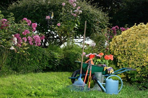 Shed installation planning in a Shortlands garden