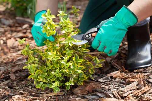 Landscapers maintaining safe practices during final site clearance