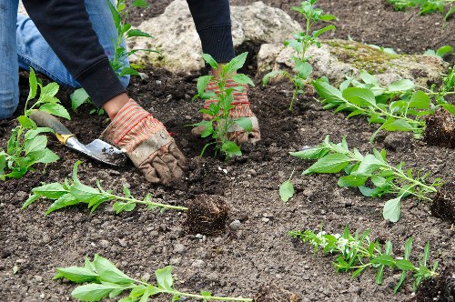 Example garden clearance and cubic-yard pricing in Shortlands