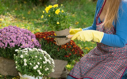 Garden waste and debris removal in Shortlands