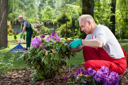 Shortlands landscaping project with garden design and planting