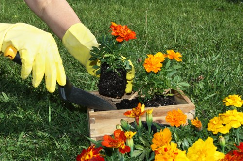 Reusable landscaping items set aside for charity donation and reuse