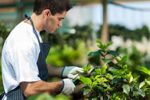 Responsible landscaping business reinforcing zero-tolerance anti-slavery commitments