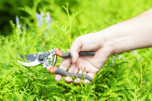 Low-maintenance and sustainable landscaping ideas for Shortlands homes