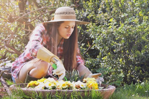 Professional hedge cutting and garden tidy-up in Shortlands