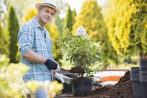 Site safety inspection during landscaping and rubbish removal tasks