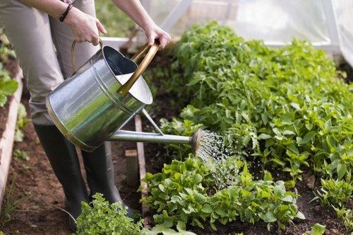 Garden design planning for a Shortlands property with layered planting and lawn areas