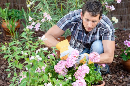Final review of landscaping complaints procedure